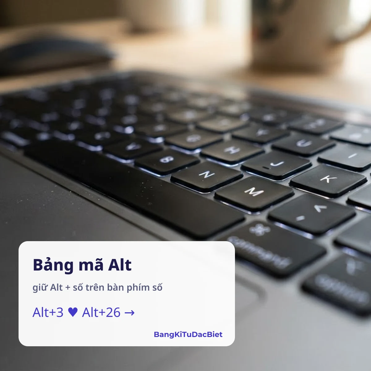 Bảng mã Alt: giữ Alt và gõ số trên bàn phím số